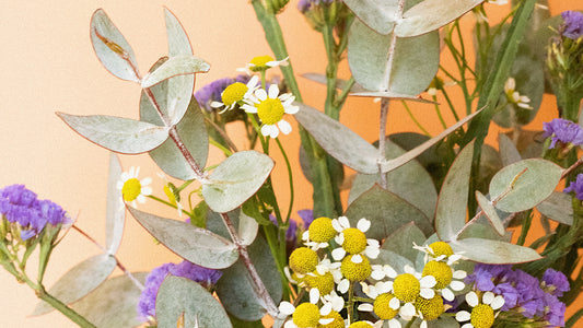 Botanical Rebellion: The Unapologetic Case for Greening Your Space