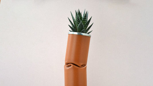 Crafting Nature's Beauty: A Guide to DIY Plant Arrangements at Home